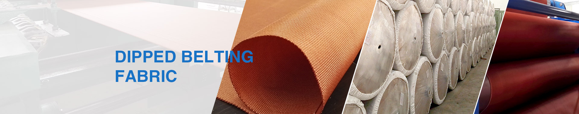 Belting Fabric